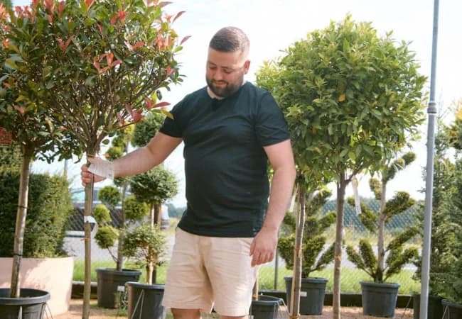 Referenz: Gartencenter Westenberg